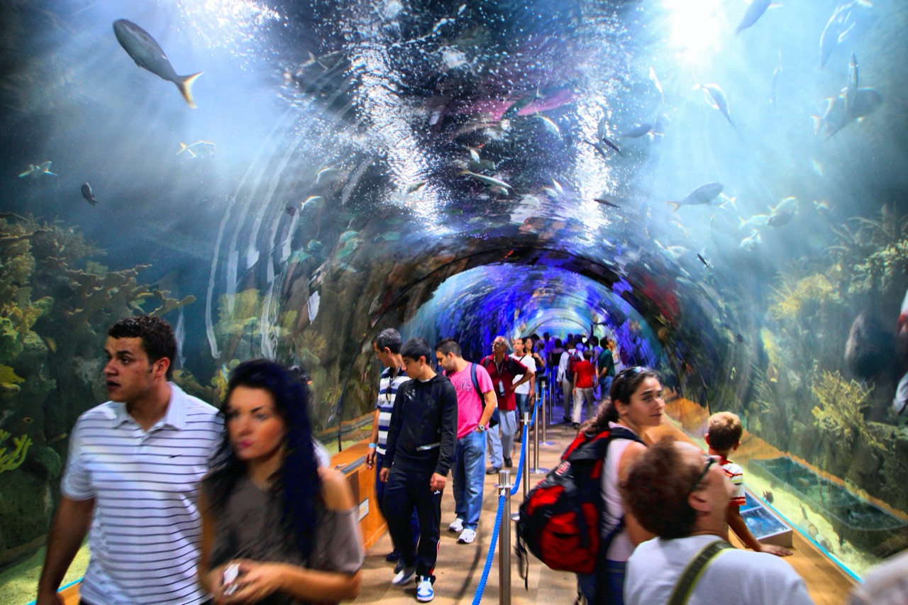Zoos and Aquariums